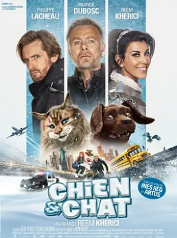 电影：猫狗大乱斗