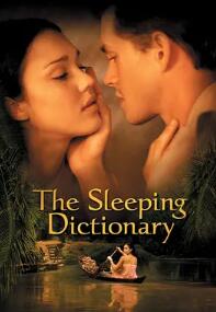 电影：字典情人