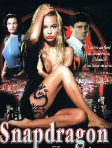 电影：杀人花1993