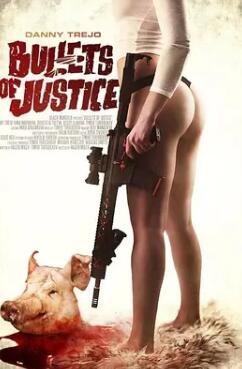 电影：正义的子弹