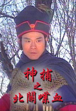 电影：神捕之北关喋血国语