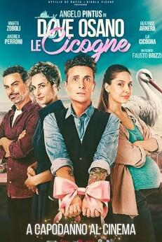 电影：鸽子飞翔的地方