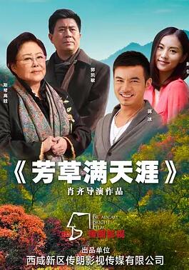 电影：芳草满天涯