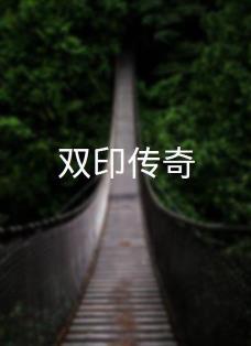 电影：双印传奇