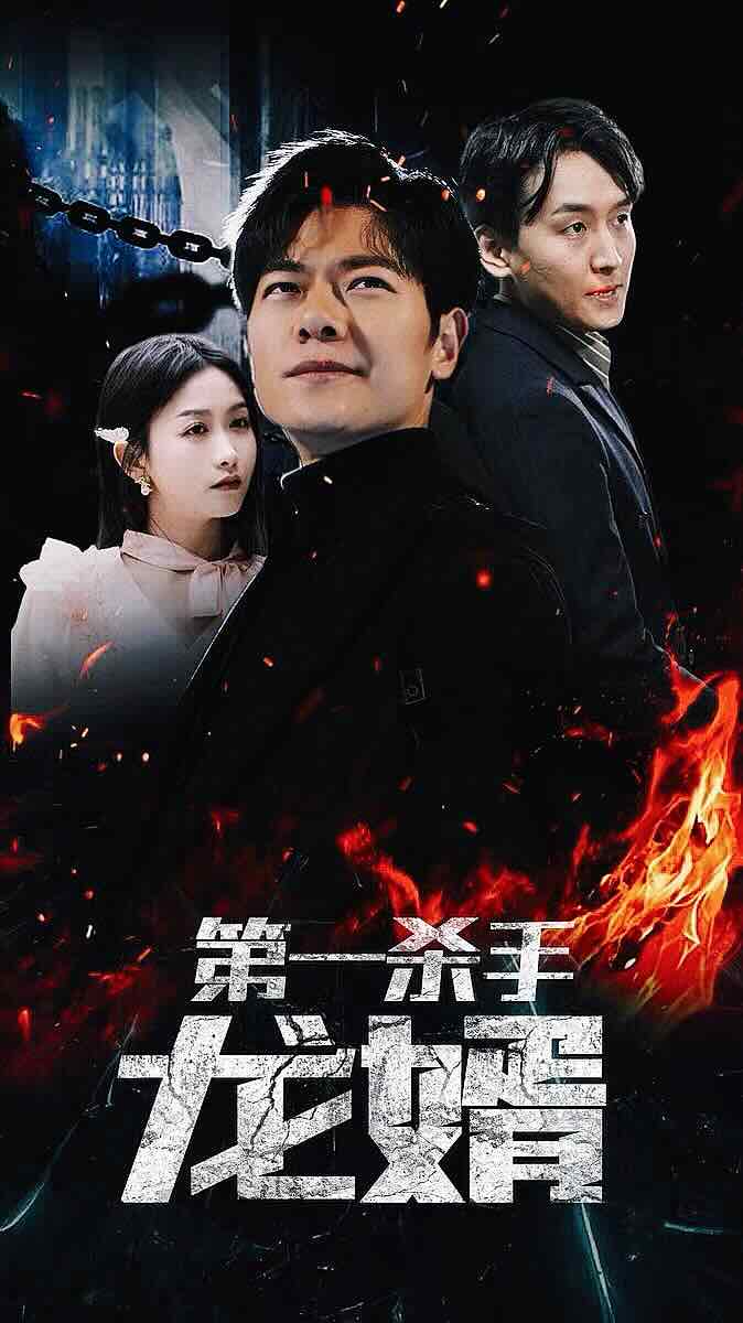 电影：第一杀手龙婿