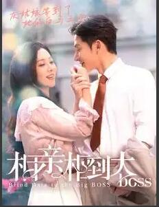 电影：相亲相到大boss
