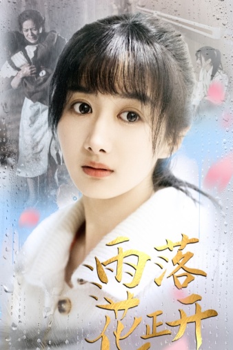 电影：雨落花正开