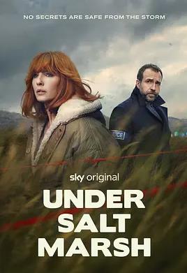 电影：盐沼之下