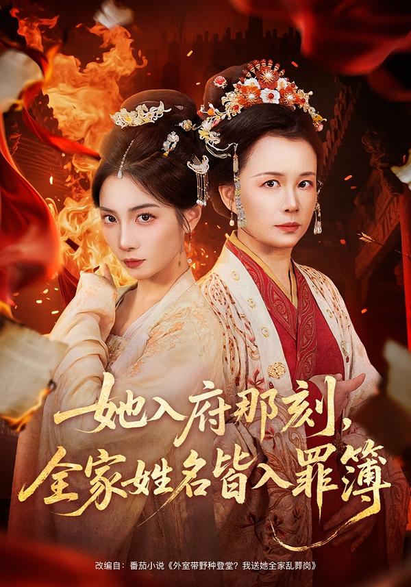 电影：她入府那刻，全家姓名皆入罪簿