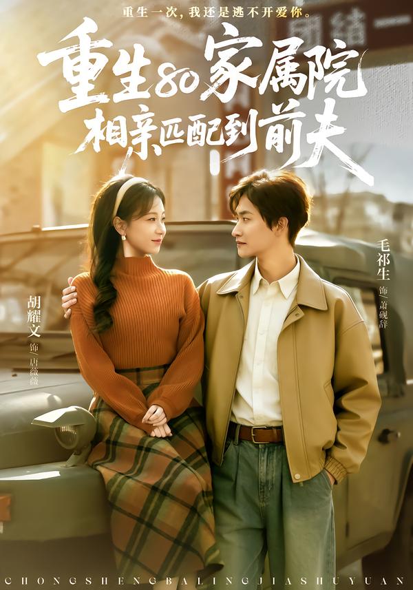 电影：重生80家属院，相亲匹配到前夫