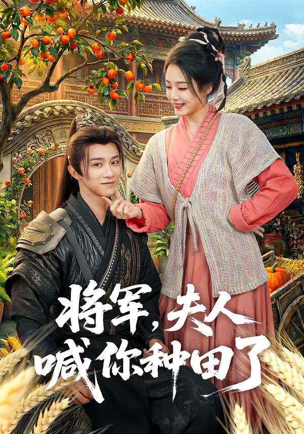 电影：将军，夫人喊你种田了