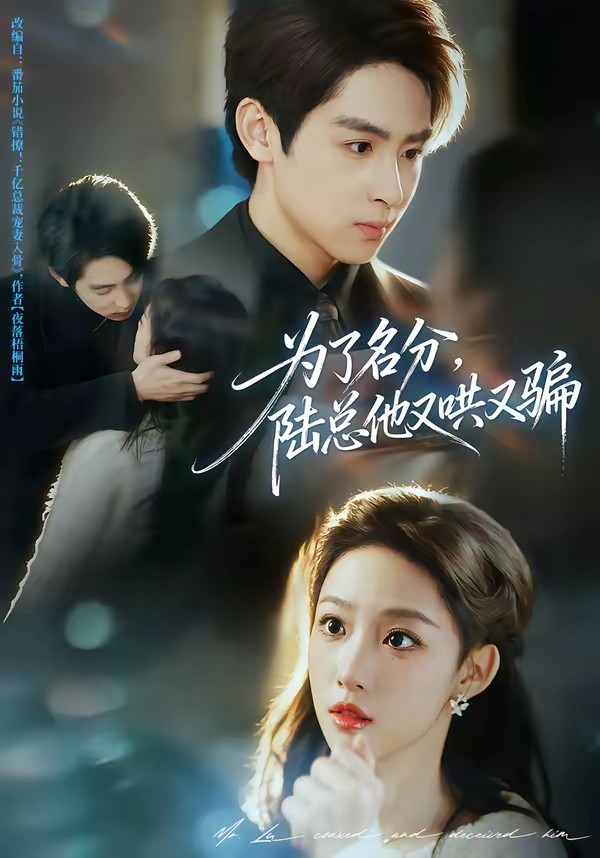 电影：为了名分，陆总他又哄又骗