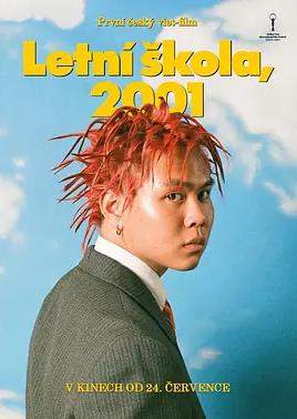 电影：2001年的夏天