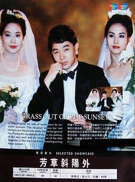 电影：芳草斜阳外