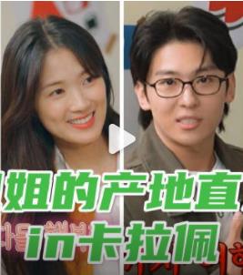 电影：姐姐的产地直送in卡拉佩