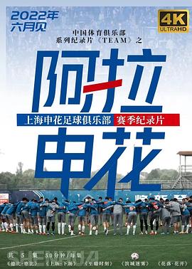 电影:阿拉申花