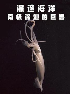 电影:深邃海洋:南极深处的巨兽