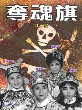 电影：夺魂旗(下集)粤语