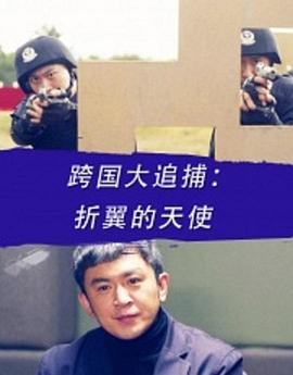 电影:跨国大追捕:折翼的天使